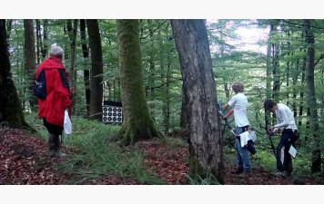 🏹 Tir en campagne du TAGGS – Dimanche 10 mai 2026 🏹